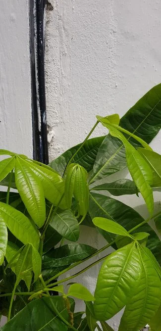 20190623_120620.jpg
