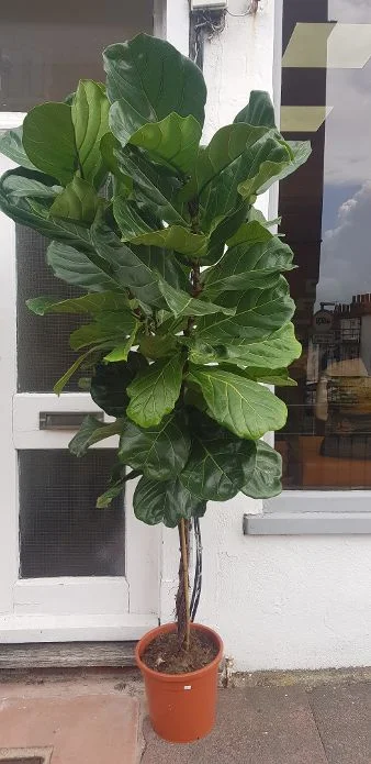 20190807_111922.jpg