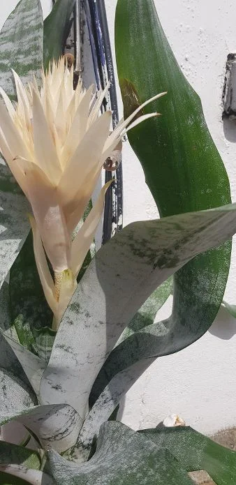 20190811_134532.jpg