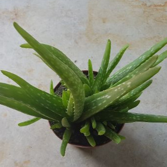 20190825_122908.jpg