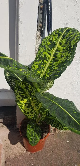 20190825_125841.jpg