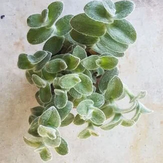 20190920_143743.jpg
