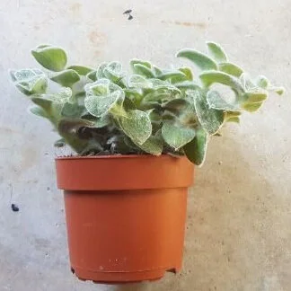 20190920_143758.jpg