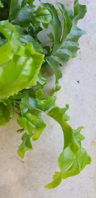 20190920_143715.jpg