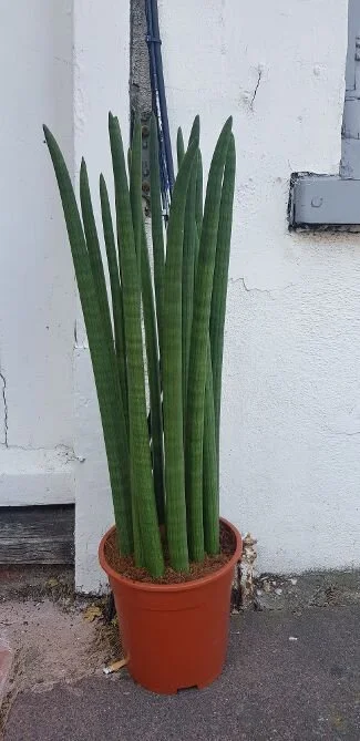 20190920_152651.jpg