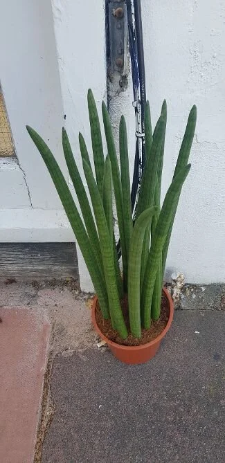 20190920_152705.jpg
