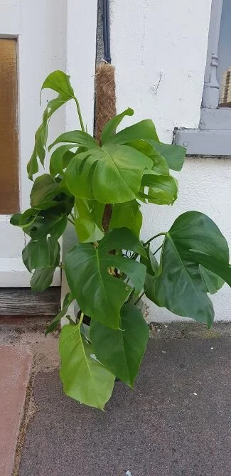 20190920_152734.jpg