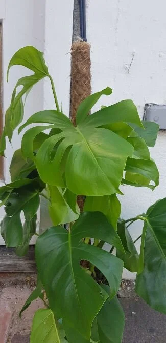 20190920_152735.jpg