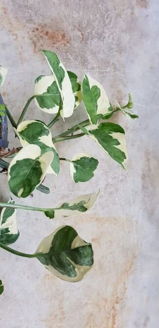 20191015_104141.jpg