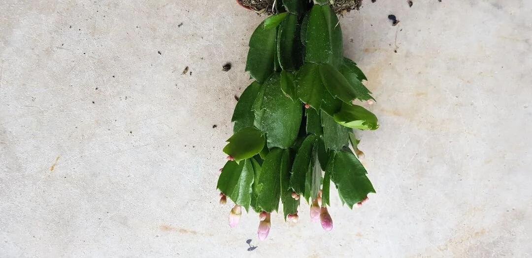 20191029_142558.jpg