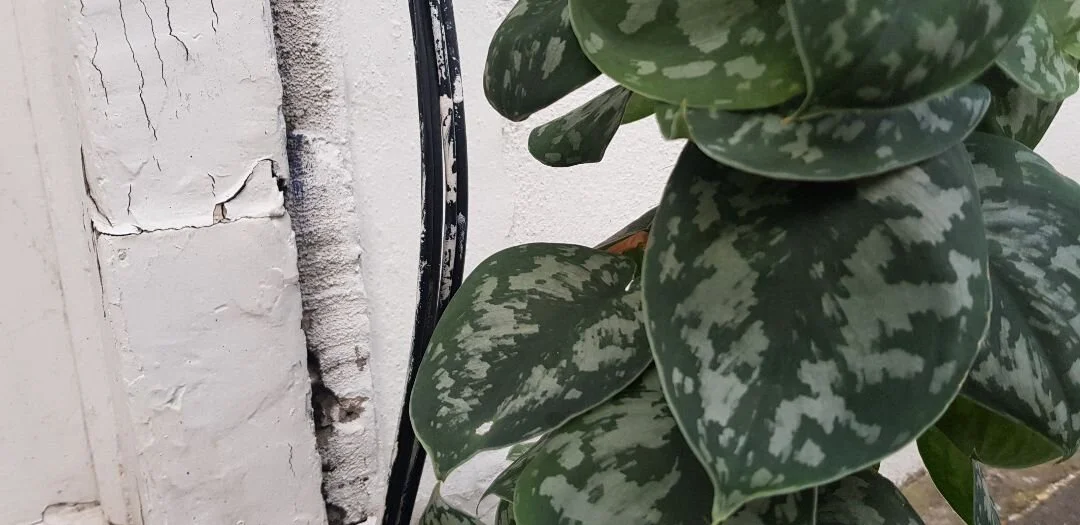 20191029_155932.jpg