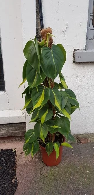 20191029_155944.jpg