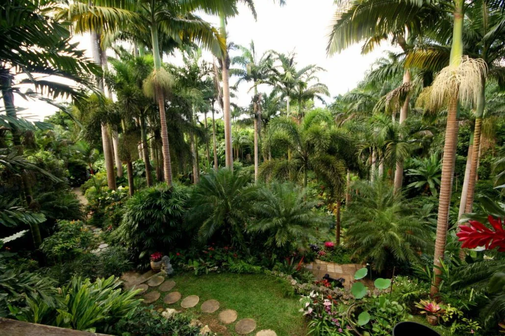 Hunte’s Gardens is a fantastic nature spot run by a lovely Barbadian named Anthony Hunte. It’s not far from Bathsheba. JIM BYERS PHOTO