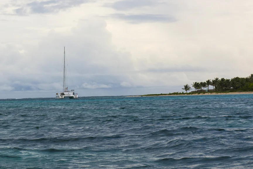 DSC7285-1.jpg