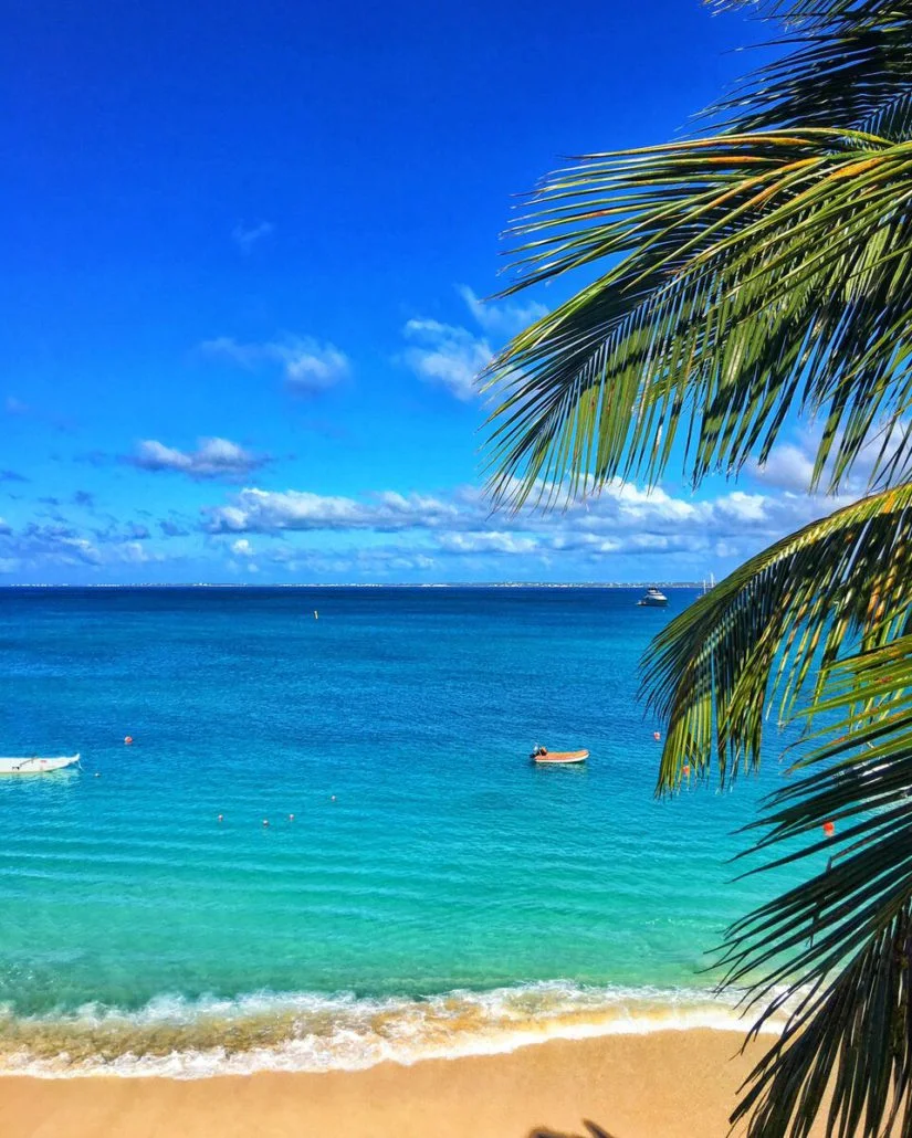 The beach