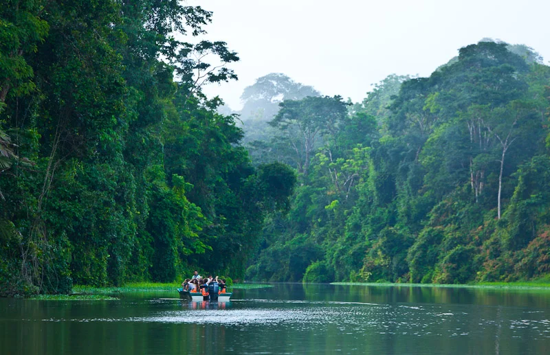 Tortuguero River, Tortuguero National Park, Costa Rica, Central America, America