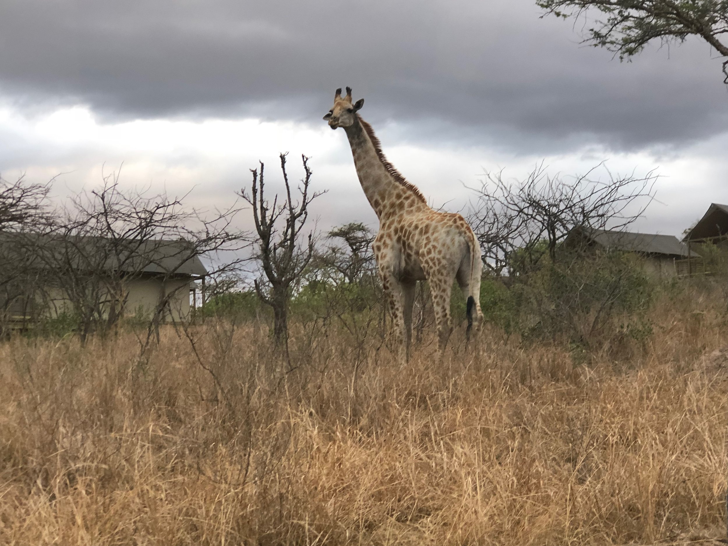 muluwa lodge.jpg