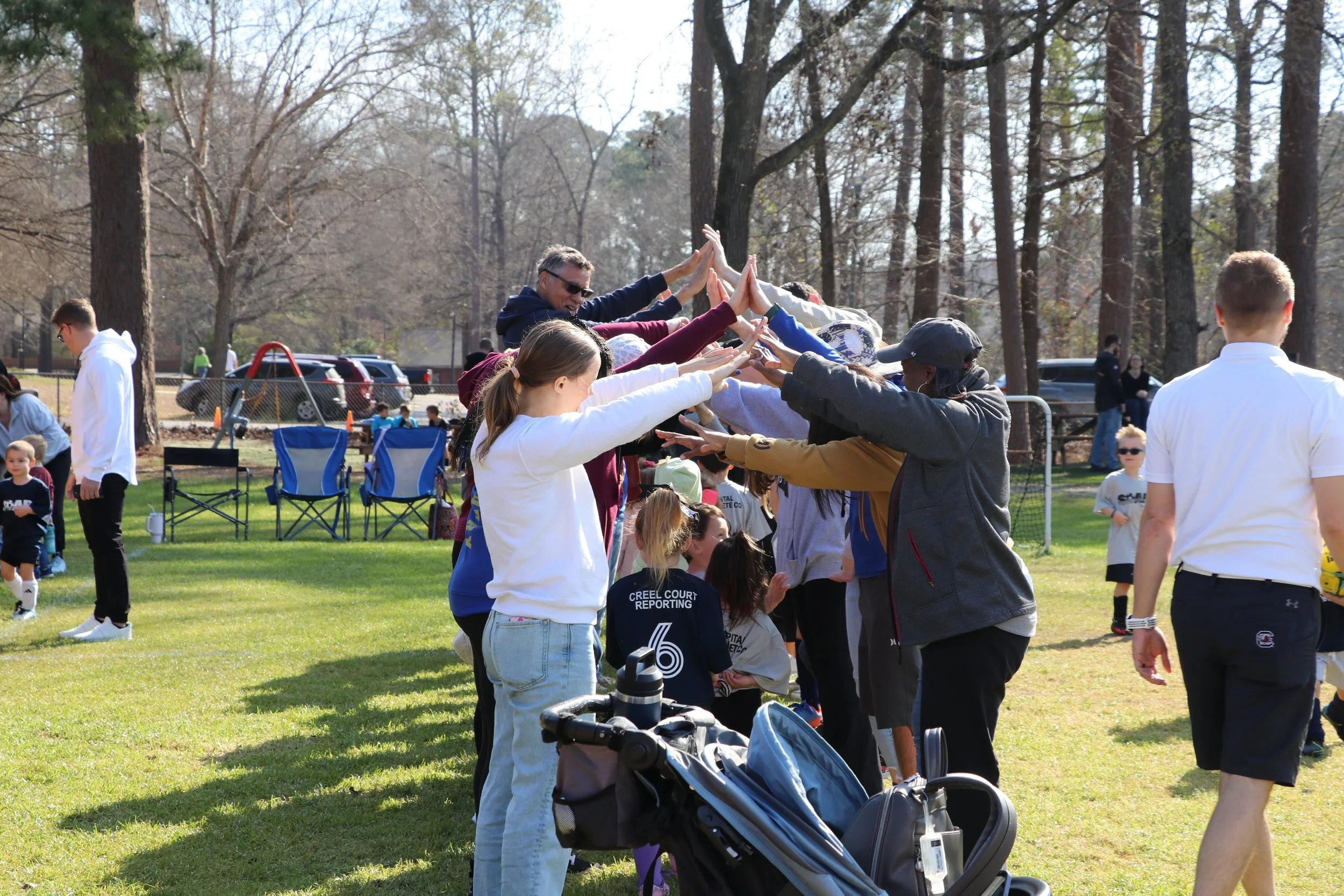 Mini field tunnel.JPG