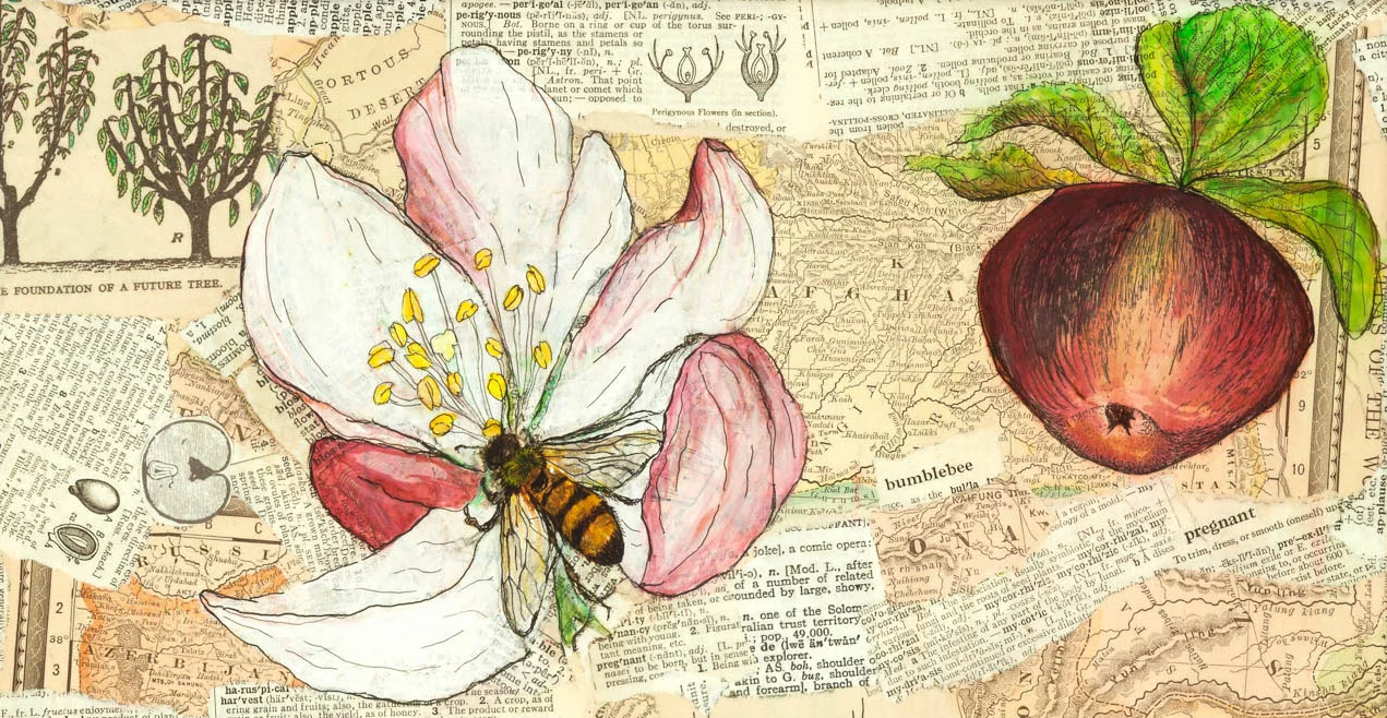Ode to Apple Pollination , a collage I created in celebration of this miraculous act