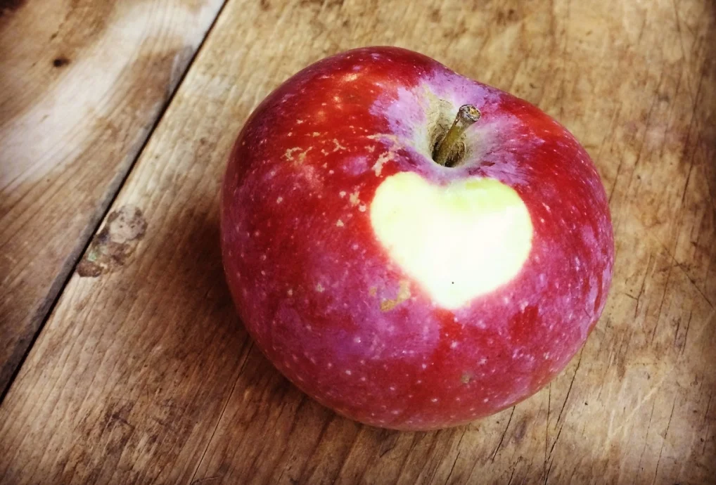 Ode to the Macintosh apple