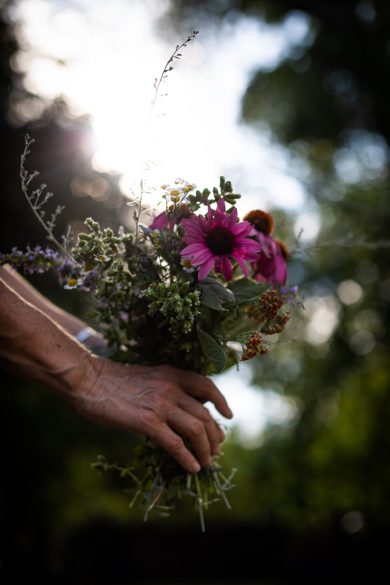 Herbal Bouquet.jpg