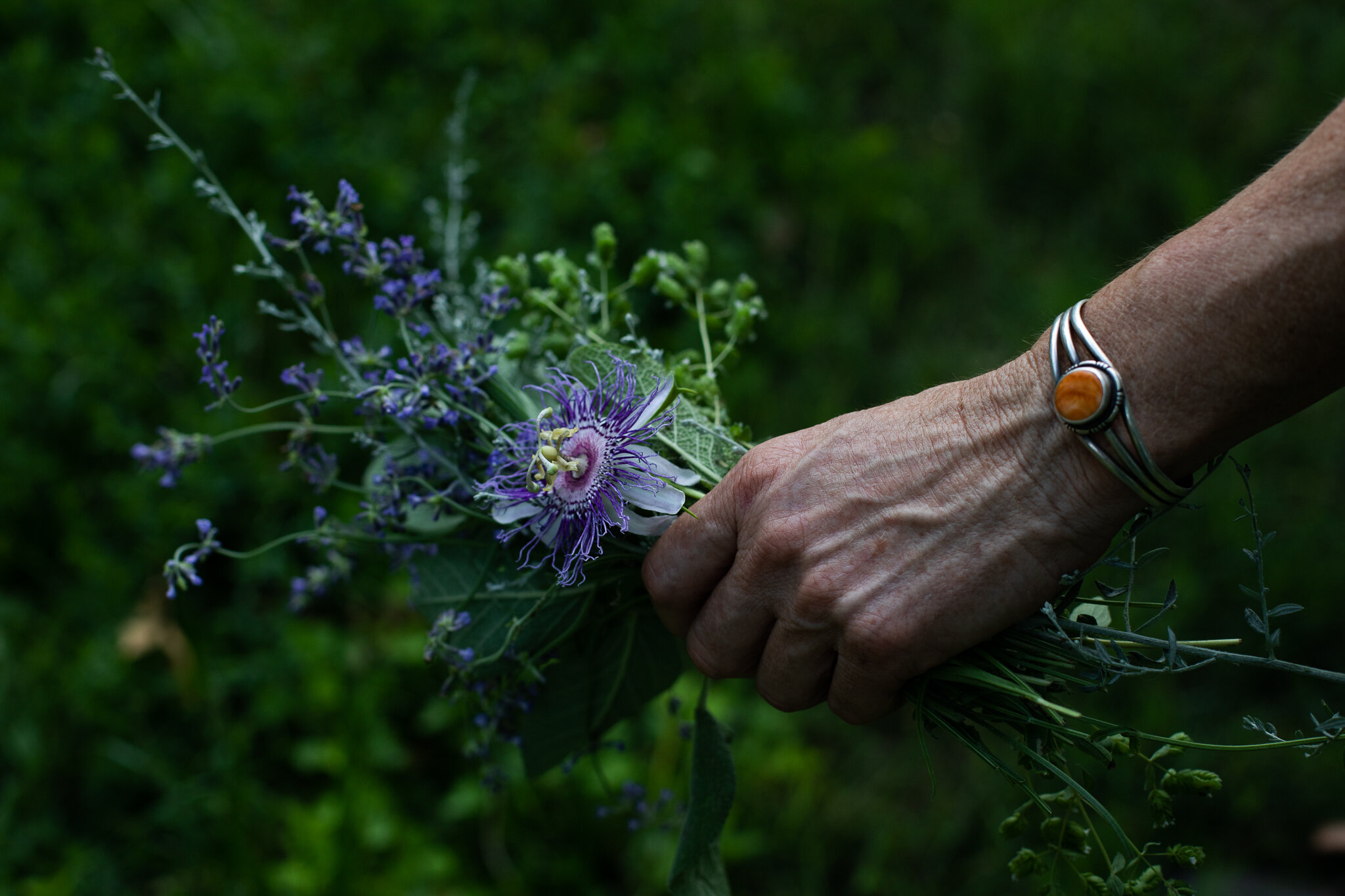 Medicinal Herbs.jpg