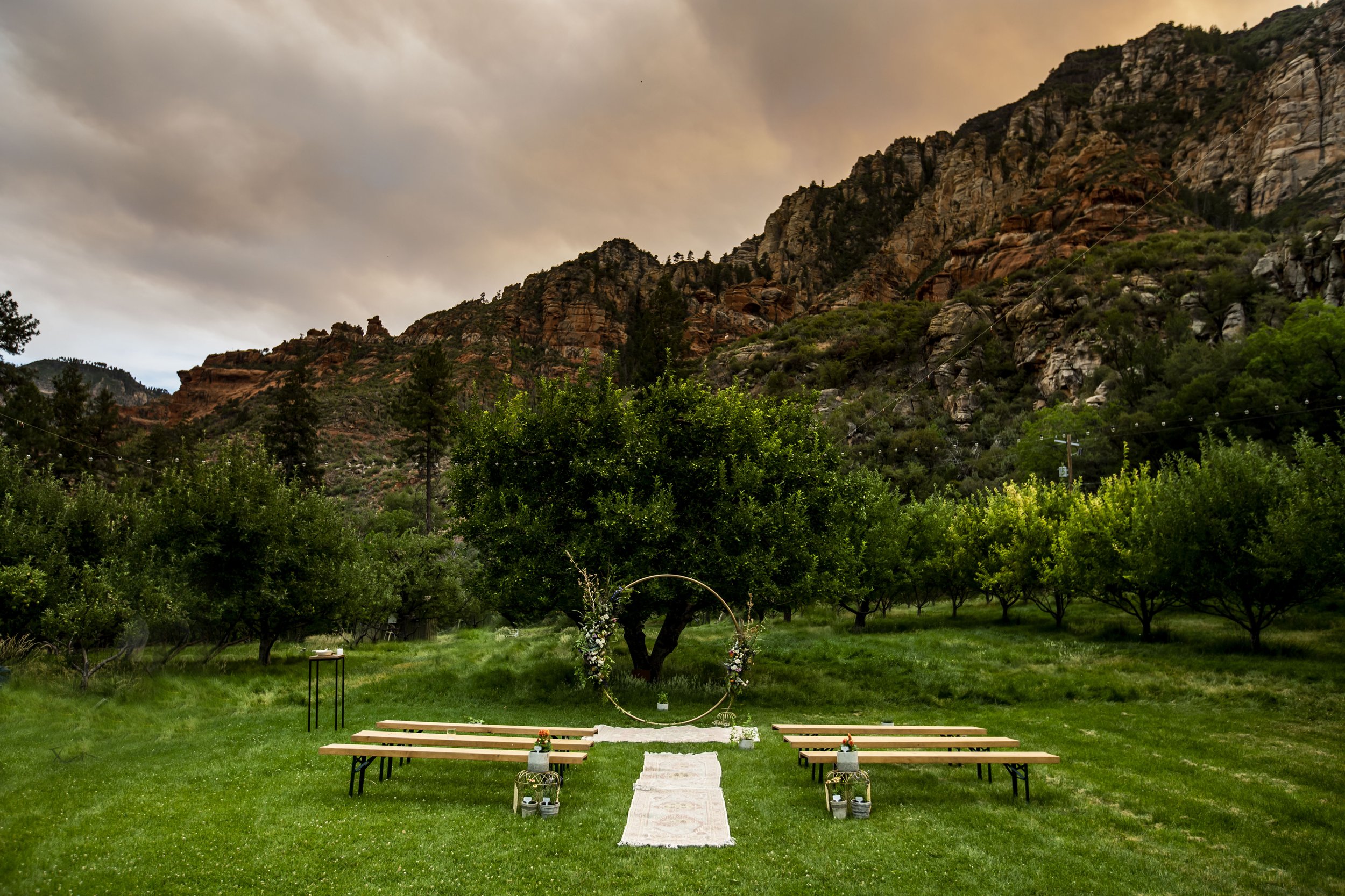 Romantic summer solstice orchard wedding venue