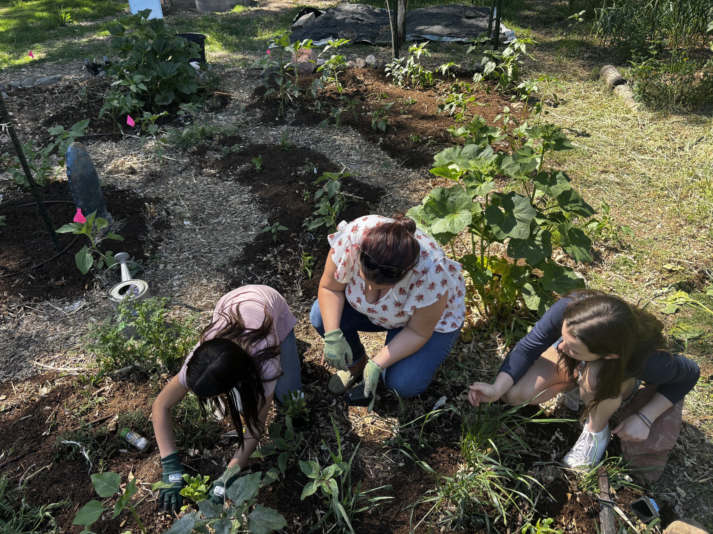 Spring News from the Mother Garden