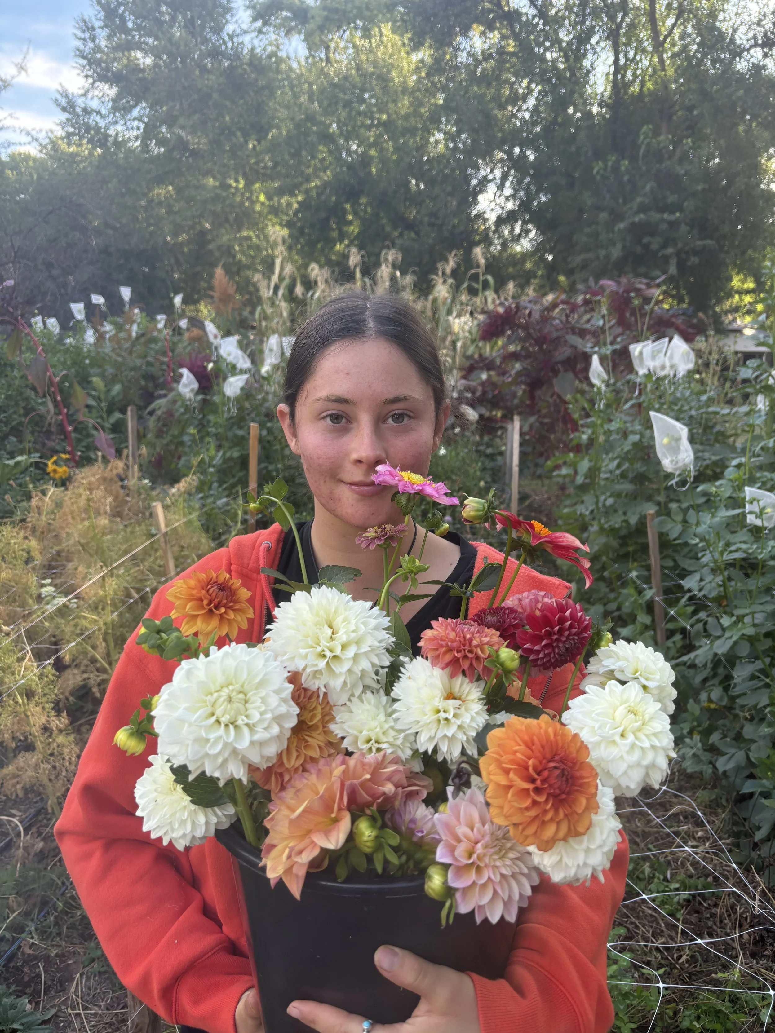 Shaley with Dahlia load.jpg