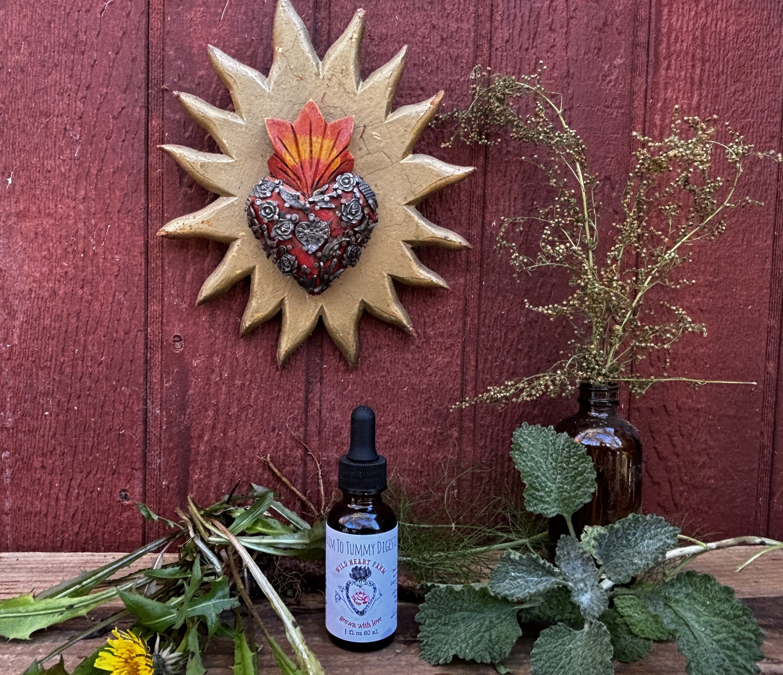 Farm to Tummy tincture.jpg