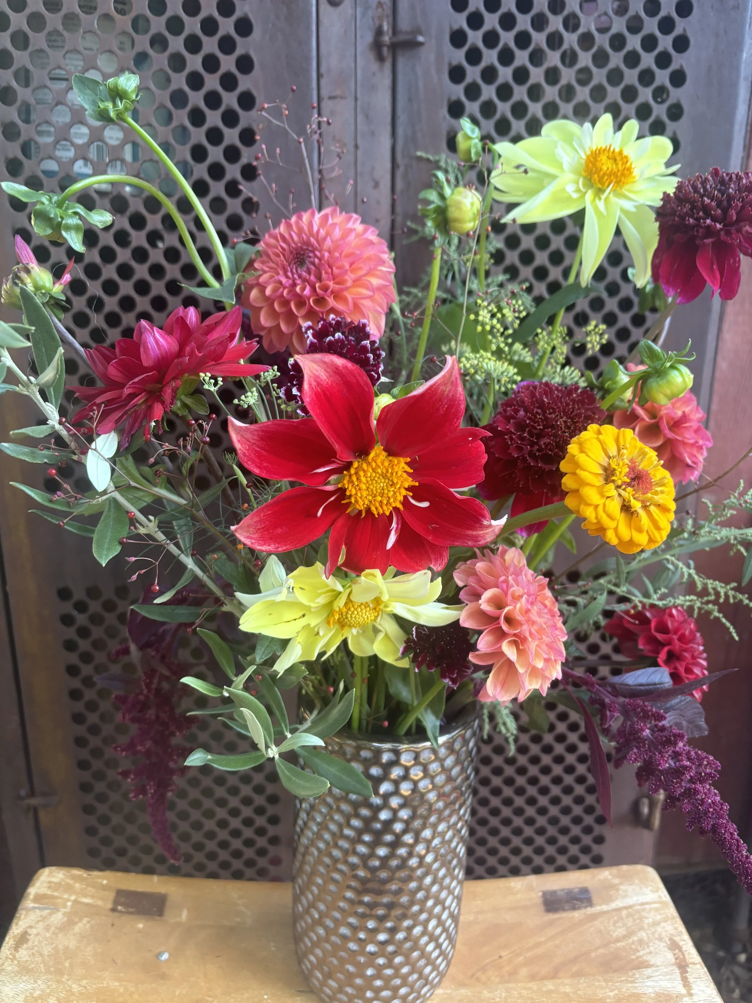 Colorful dahlias.jpg