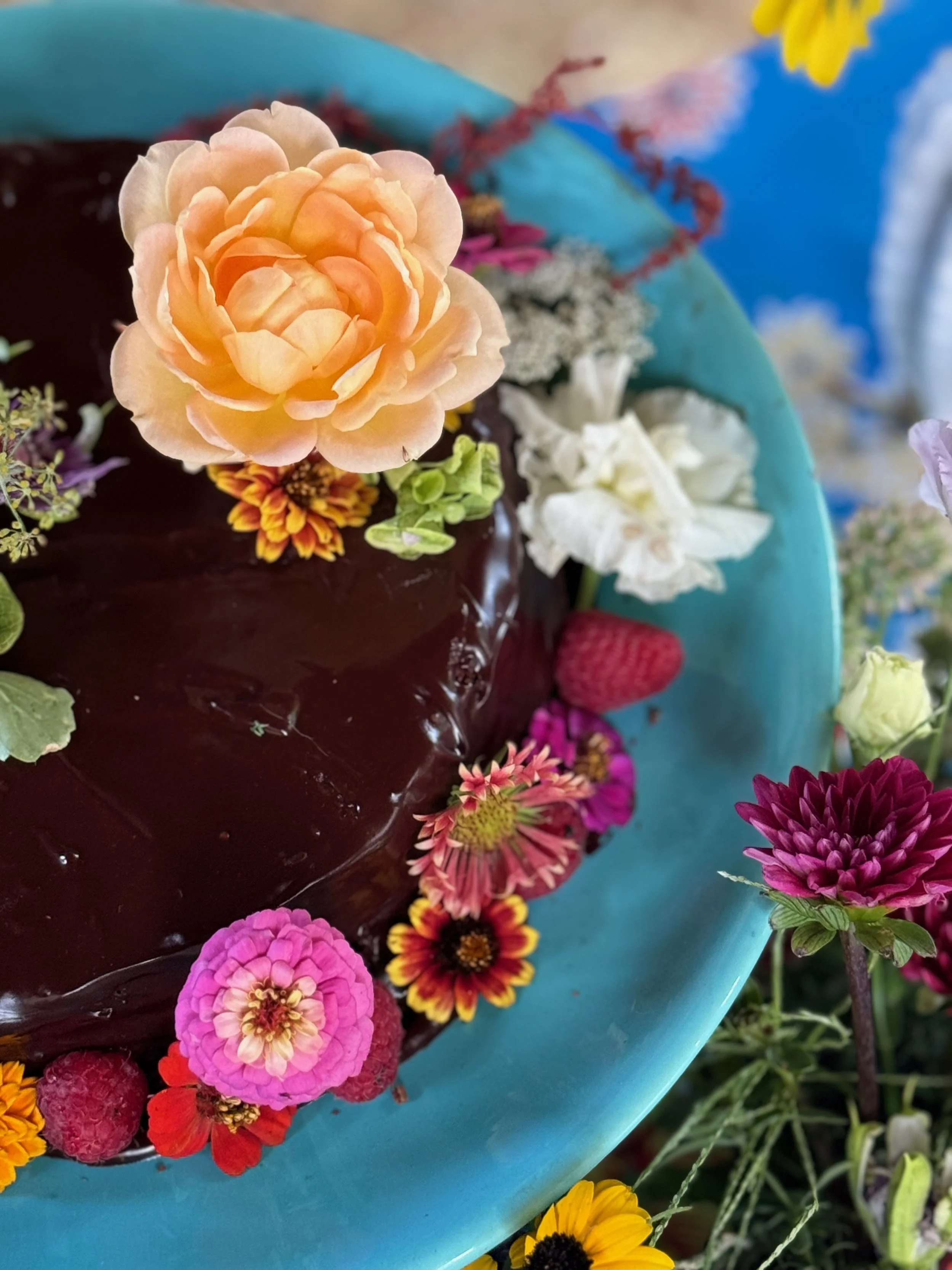 Chocolate Cake_Joanne_Kim.jpeg