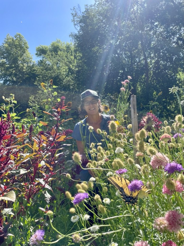 Kate & Scabiosa patch.jpeg