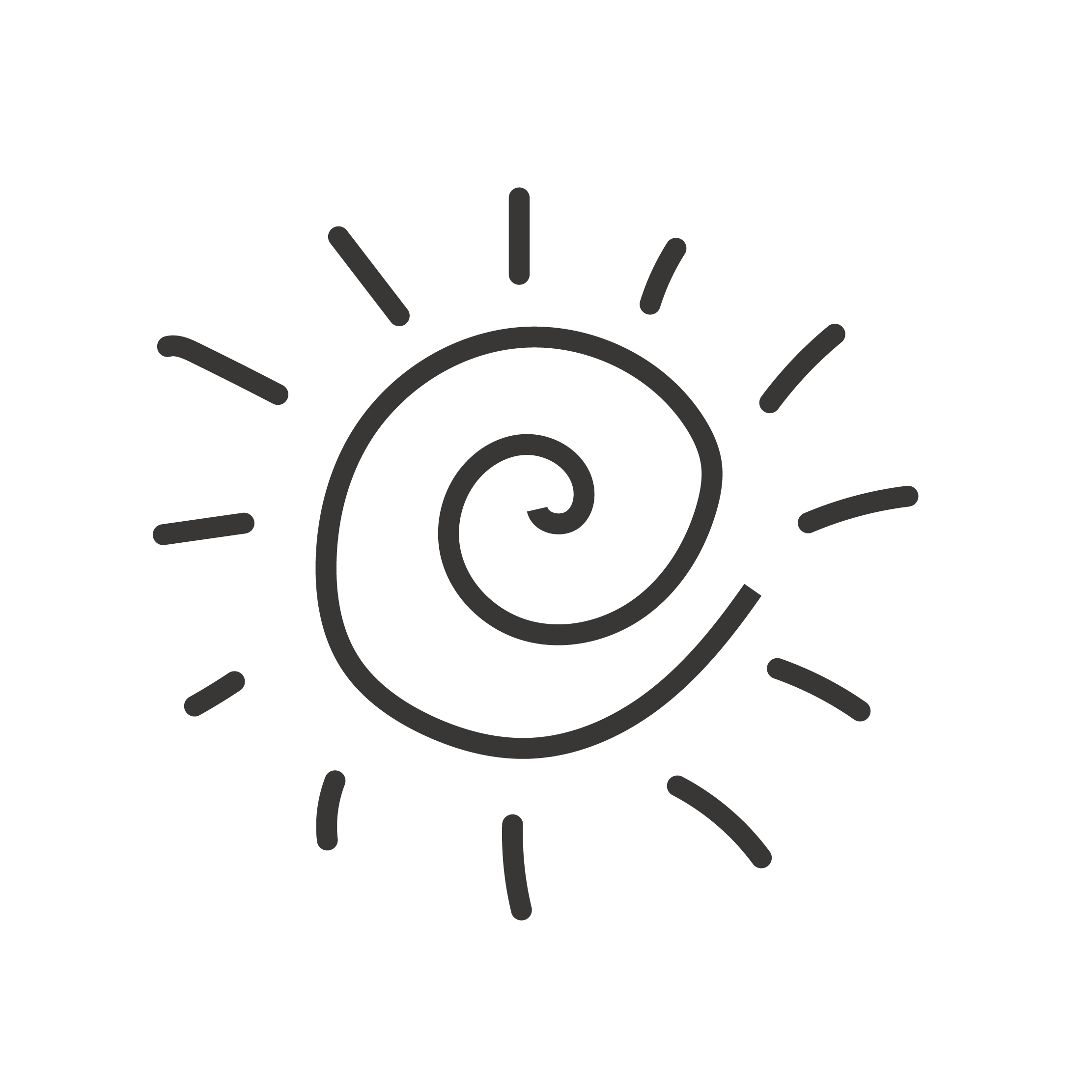 Line drawing of a coiled snail shell with radiating lines around it, resembling a sunburst pattern.