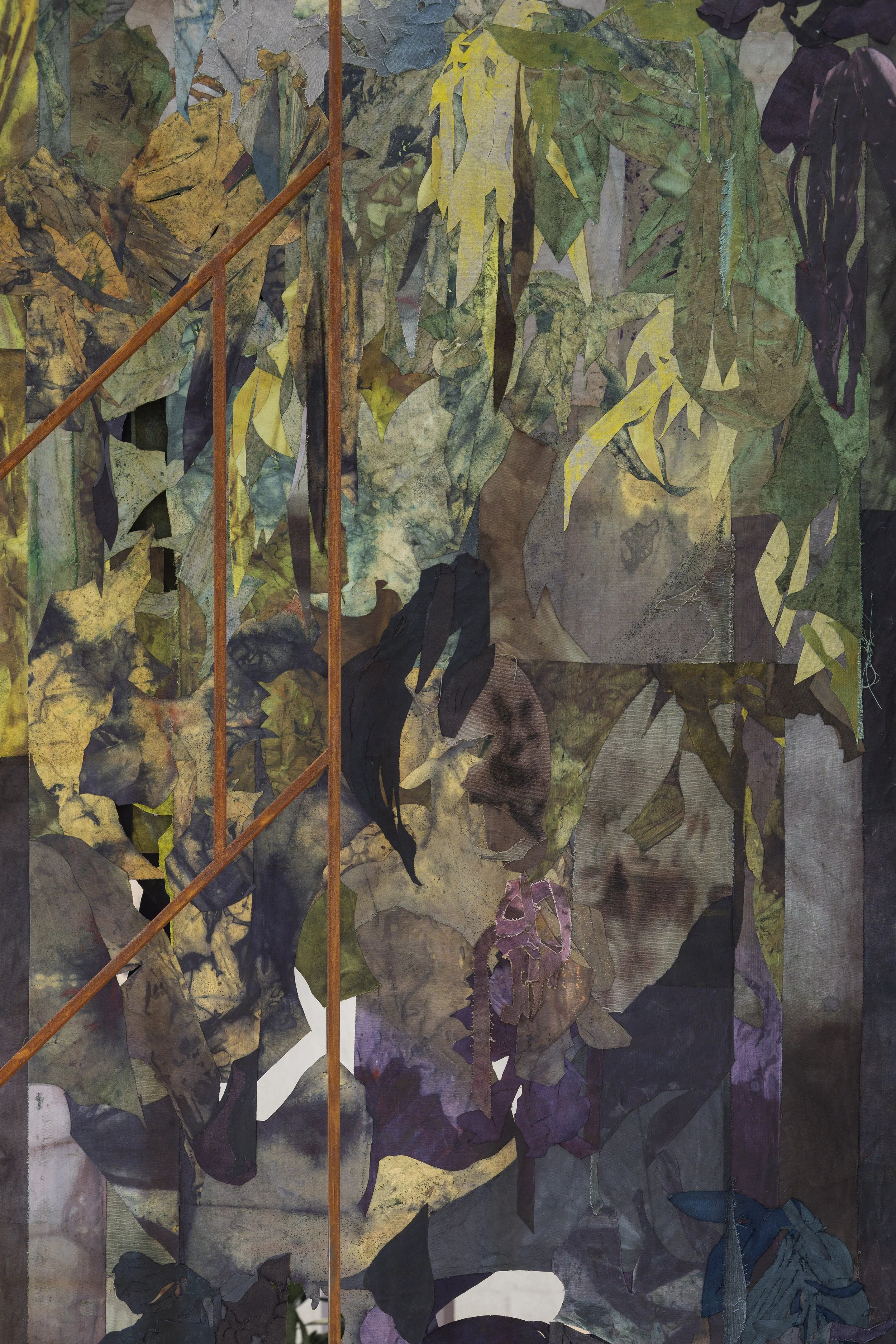  Image Courtesy: Nicholas Knight 