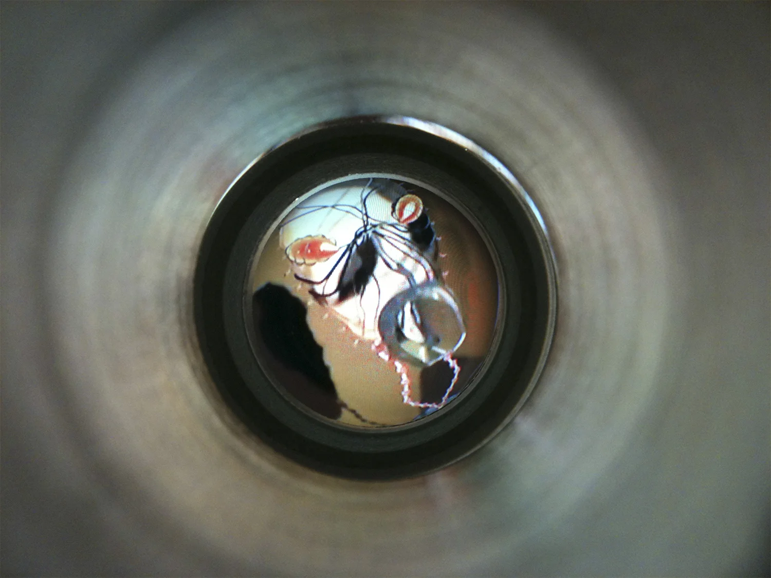 View through a Peep Hole