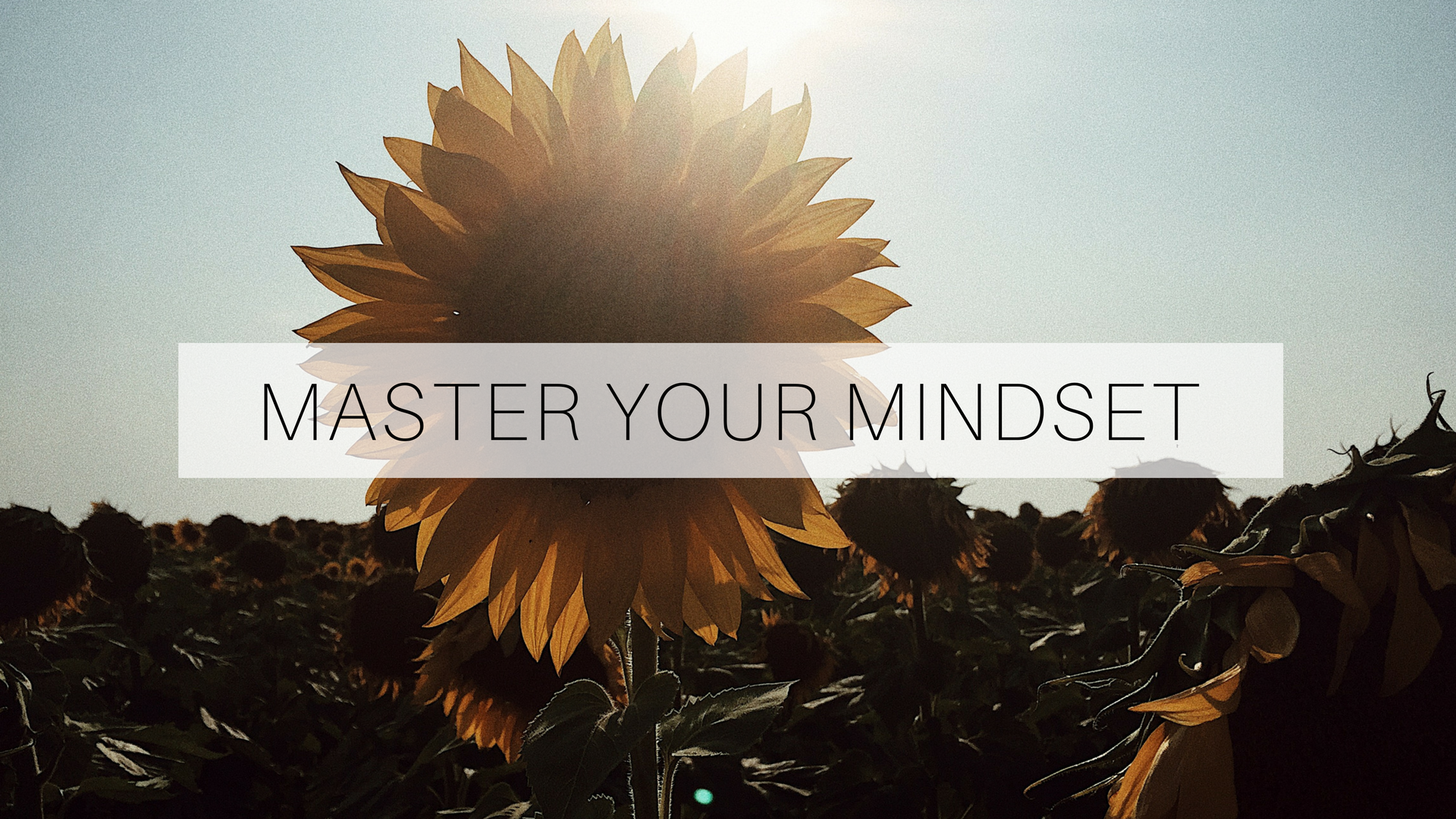 master-your-mindset-colleen-gallagher-thefitgal-thesecondmuse-positive-living.jpg