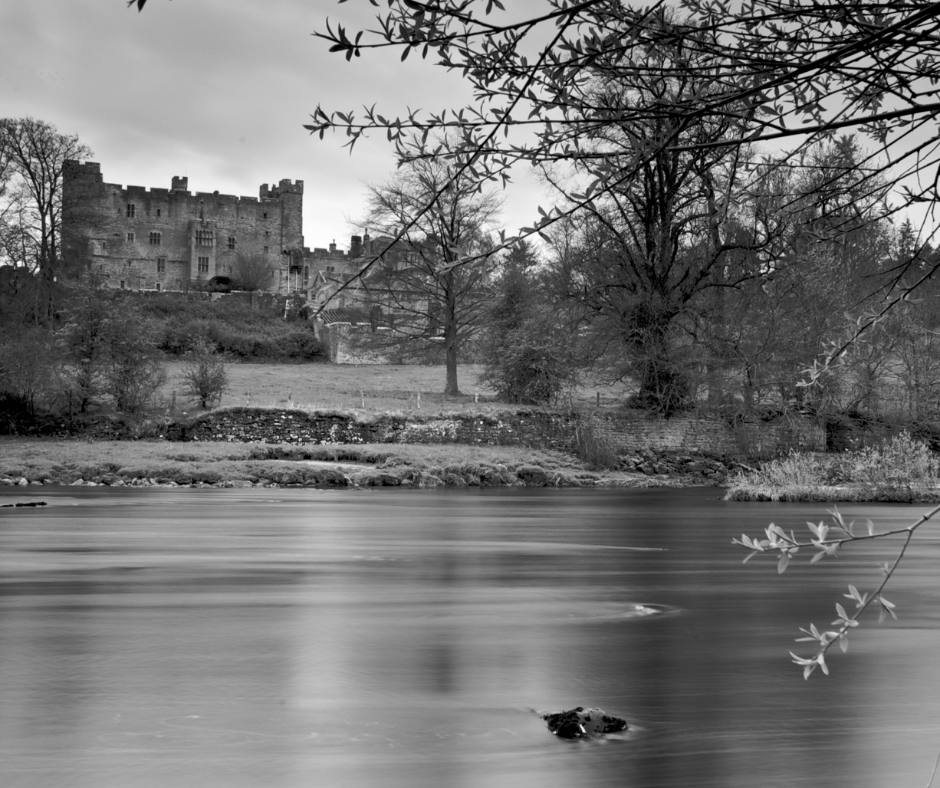 Poem | Foolish Spring