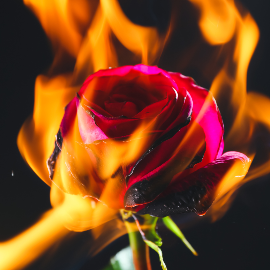 POEM | In The Shadows of My Desolate Heart