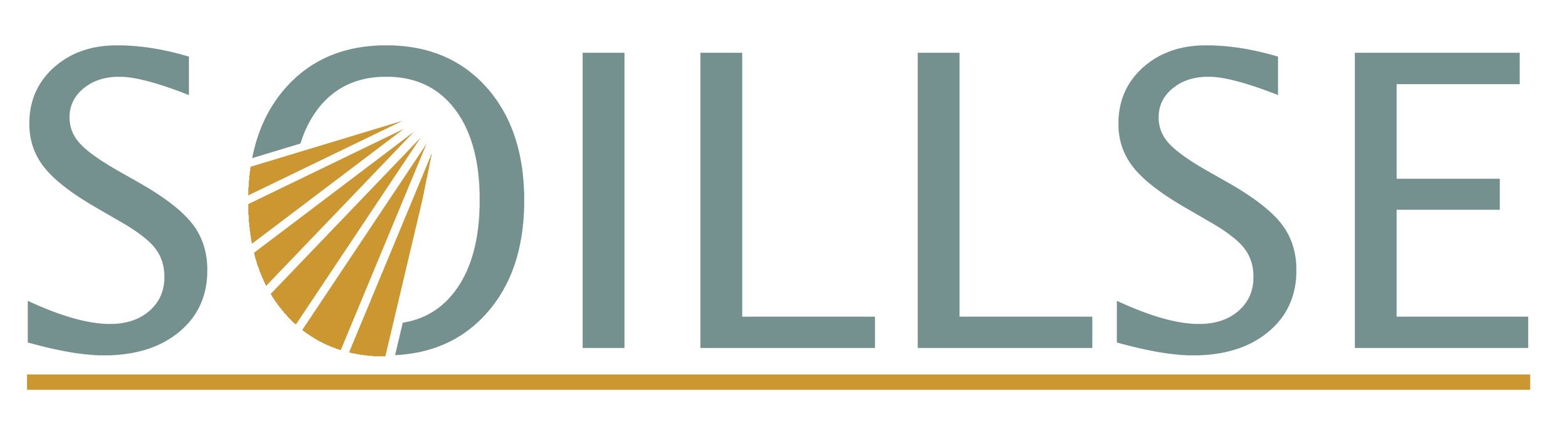 Soillse logo (Gaelic Language and Culture)