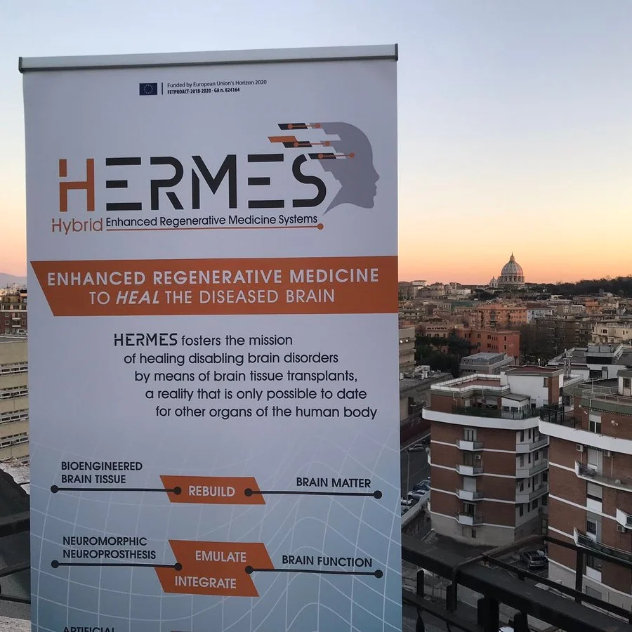 SRPe PEER Success: £7.5M European H2020 Project in Hybrid Enhanced Regenerative Medicine Systems (HERMES)