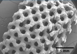 Fig.1 : Electron microscopy image of a 3D printed porous structure with perfectly ordered geometry