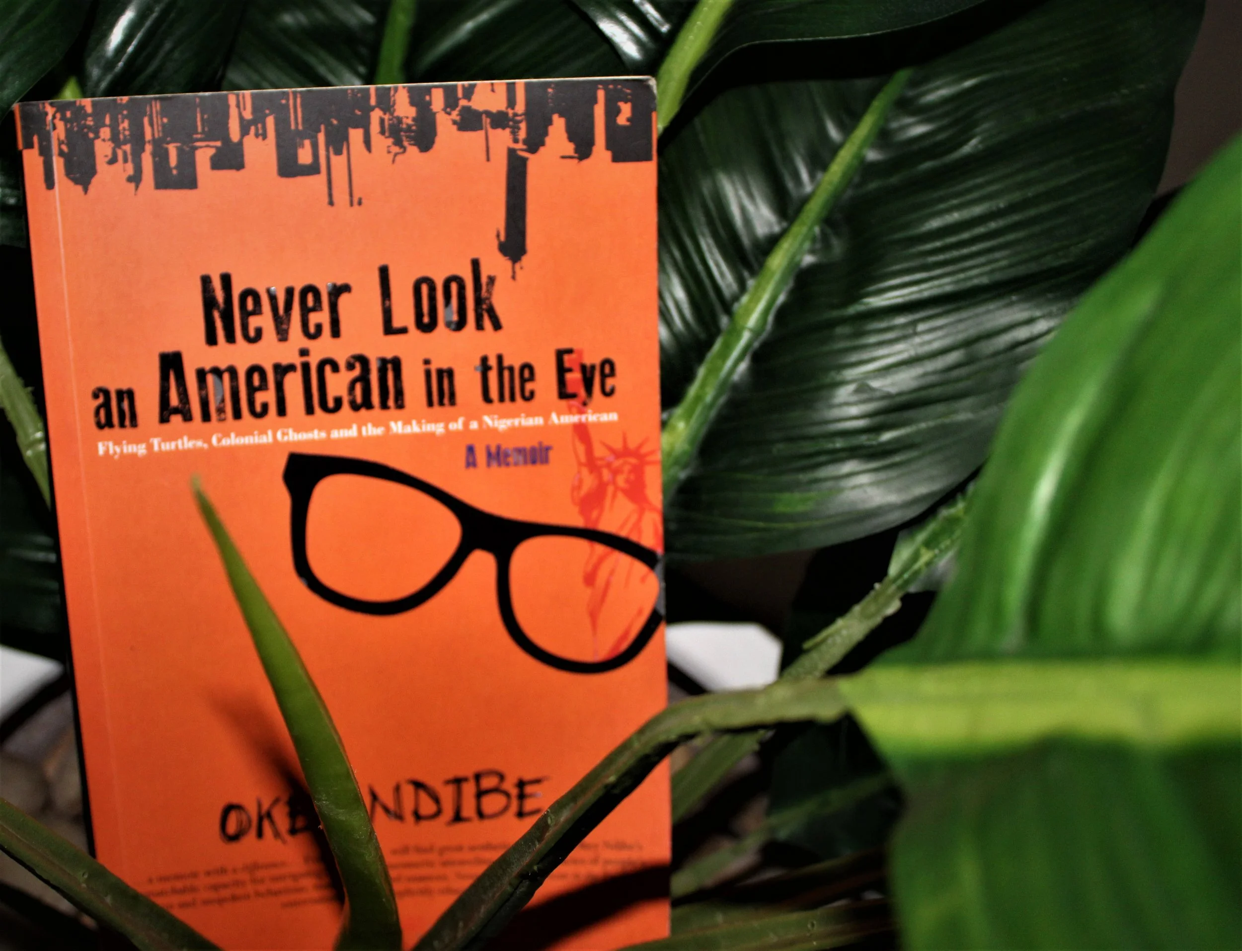 Never Look an American in the Eye|Okey Ndibe