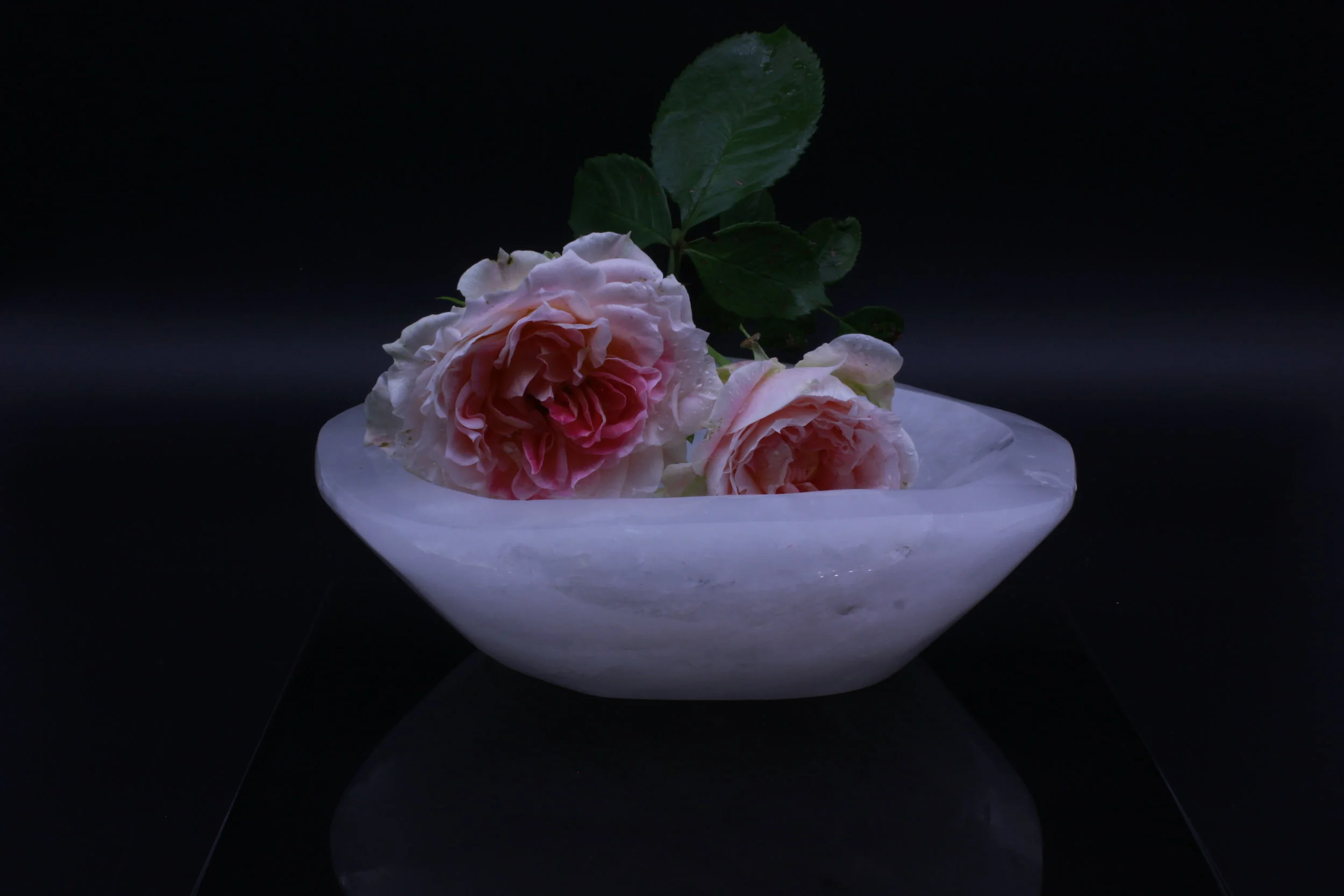 Elegant Quartz bowl (sold out)