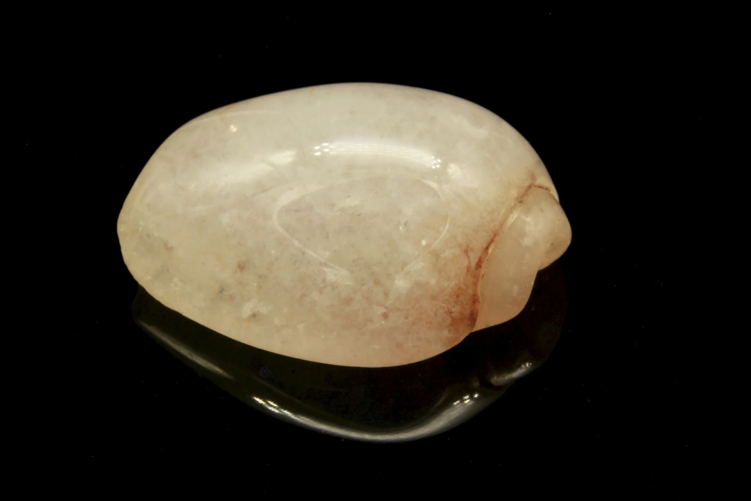 Ancient crystallised Shell
