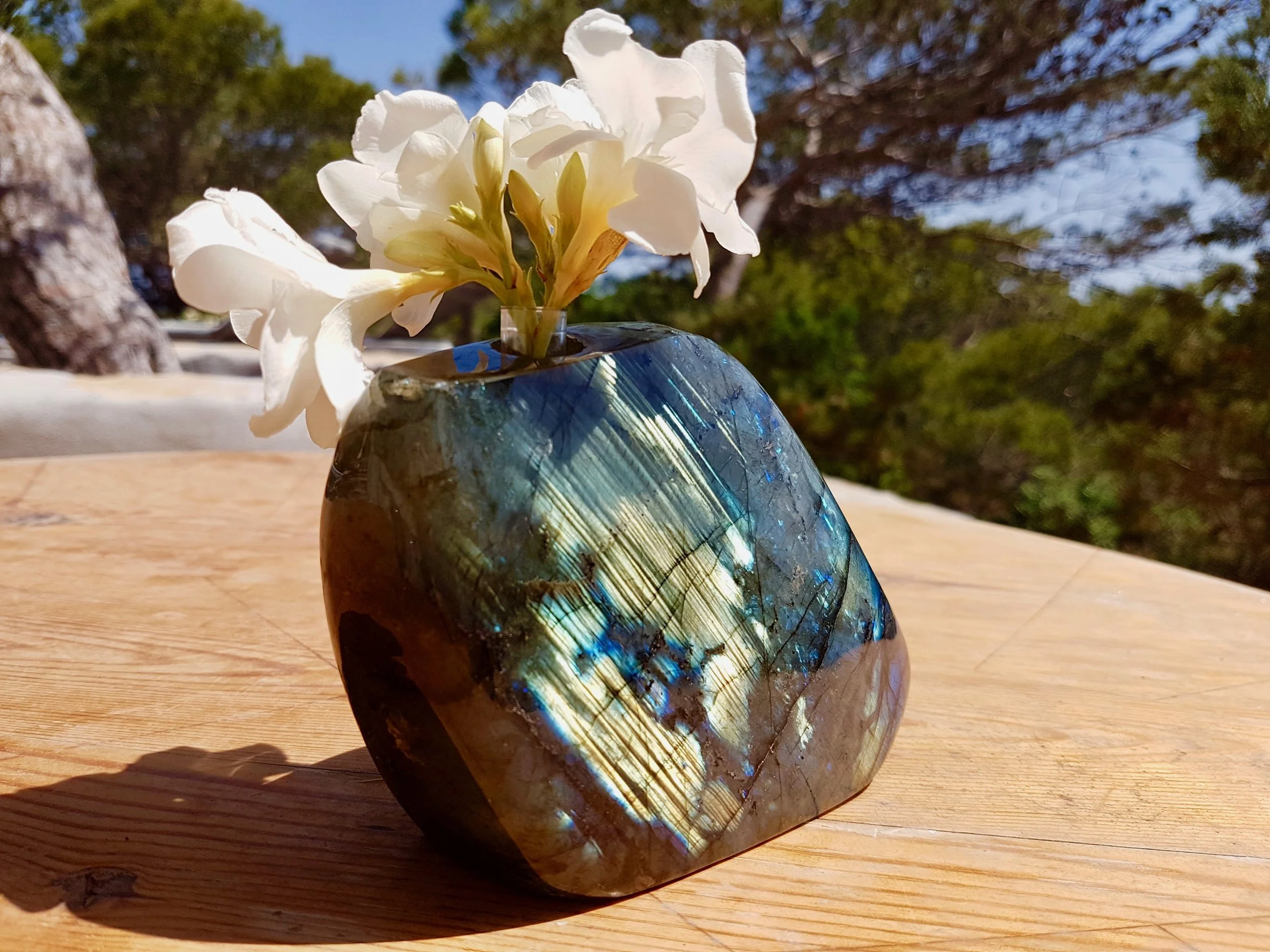 20180627_155620.jpg