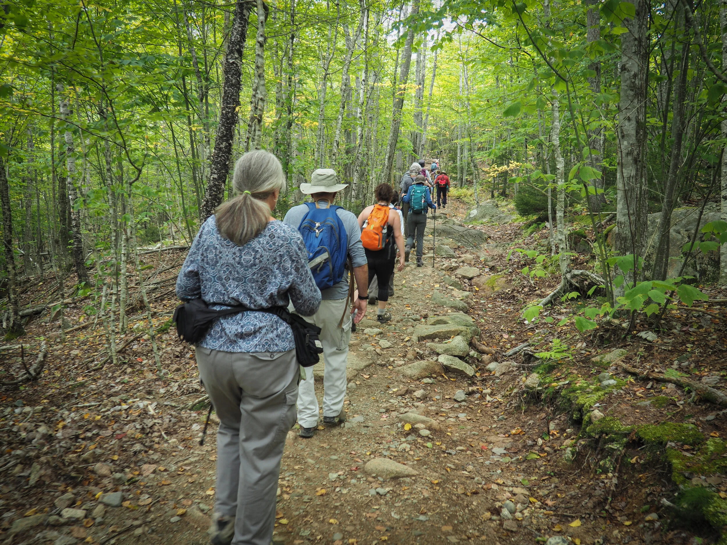 acadia bike tours