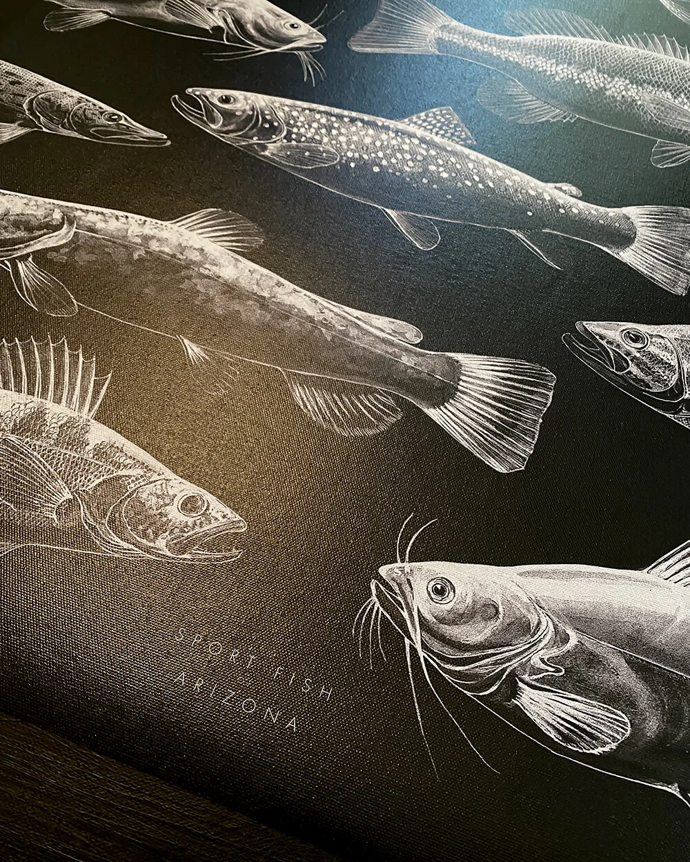 Copperstate Collection Sport Fish 24x30 3