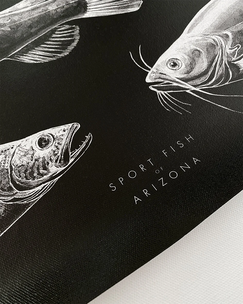 Copperstate Collection Sport Fish 24x30 5