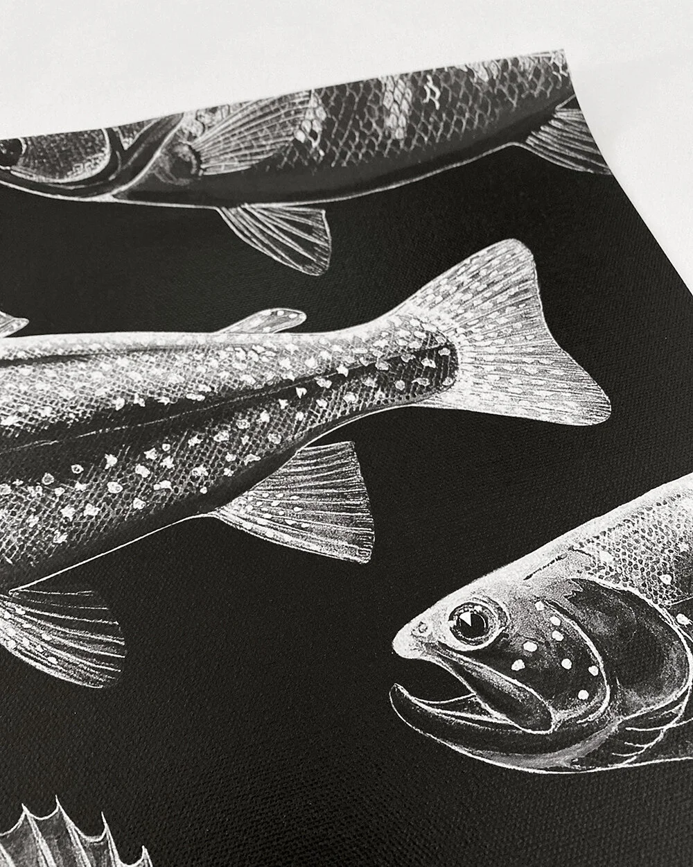 Copperstate Collection Sport Fish 24x30 6